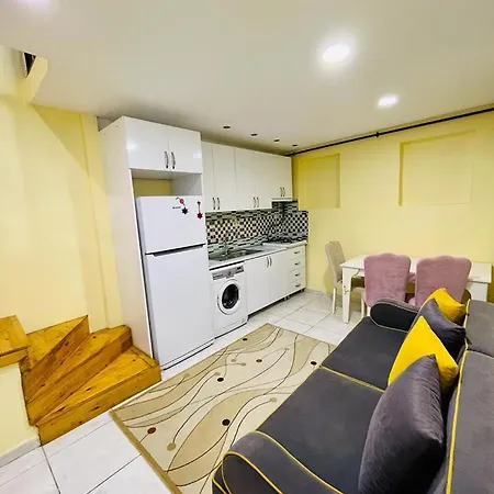 Dublex Flat In Taksim דירה