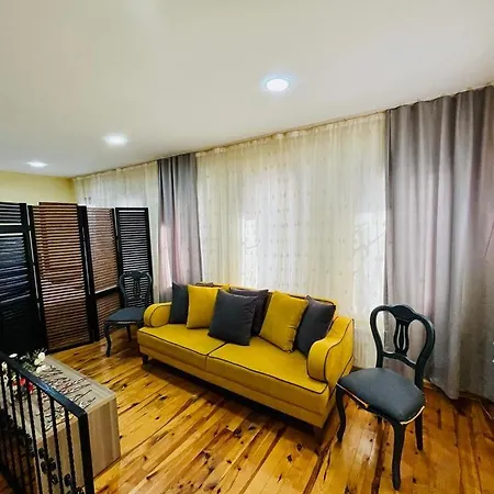 Dublex Flat In Taksim 伊斯坦布尔